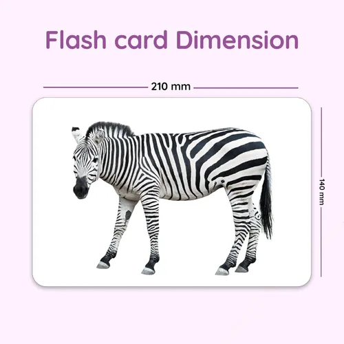 Miniatura 5 de Hungry Brain Tarjetas didácticas de números para niños pequeños de 1 a 6 años Tarjetas de aprendizaje de números educativos Montessori para bebés