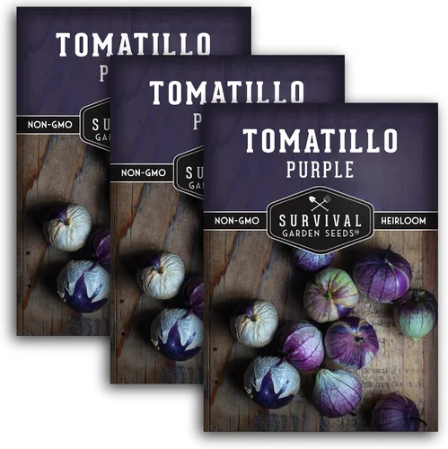 Miniatura 11 de Semillas de tomatillo morado para plantar, tomate de cáscara mexicana de reliquia, vegetal polinizado abierto sin OMG de alto rendimiento para salsa