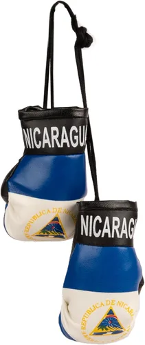 Miniatura 7 de SandT Collection Guantes de boxeo pequeños con bandera del país - Guantes de boxeo para colgar