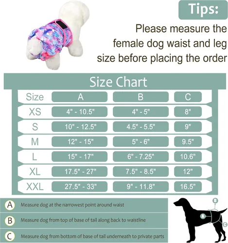 Miniatura 30 de Pañales lavables para perros, para hembras caninas, reutilizables, para periodo de celo, altamente absorbentes, para incontinencia, con broches