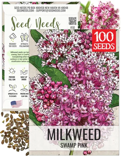 Miniatura 13 de Seed Needs Semillas de algodoncillo naranja para plantar malezas de mariposa, semillas de flores perennes sin tratar para cultivar un jardín