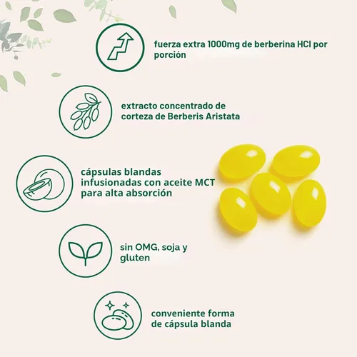 Miniatura 3 de Micro Ingredients Berberina 1000mg con Aceite MCT, 240 Cápsulas Blandas Fórmula Altamente Biodisponible con Berberina HCl de Berberis Aristata