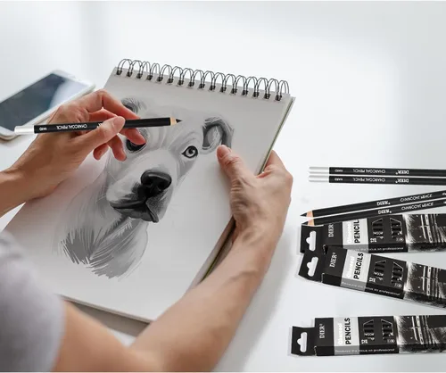 Miniatura 7 de Geyoga 36 piezas de lápices de carbón profesionales suaves, medianos y duros para dibujo, lápices de carbón para bocetos, sombreado, dibujo, mezcla