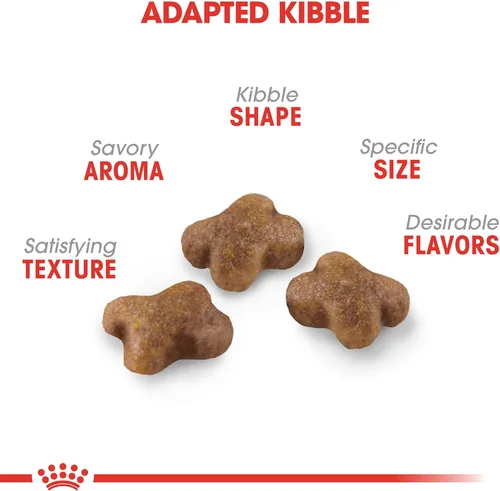 Miniatura 2 de Comida seca para gatitos de Royal Canin, Nutrición para la salud felina, Bolsa de 14 lb