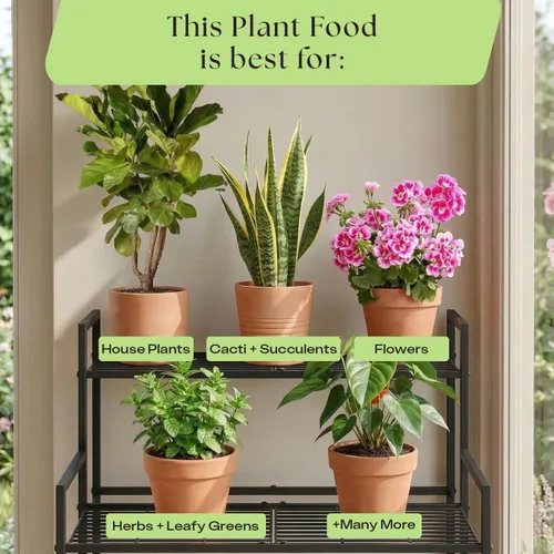Miniatura 8 de Rosy Soil Alimento vegetal – Fertilizante microbialmente activo para plantas de interior, hierbas y flores – Biochar, algas, fundición de gusanos