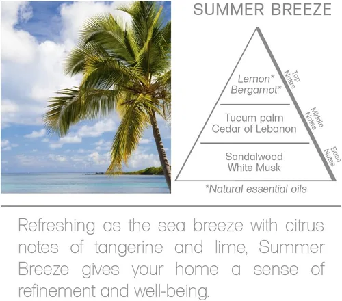 Miniatura 6 de Acqua Aroma Aceite refrescante Summer Breeze 0.7 onzas líquidas (0.7 fl oz)