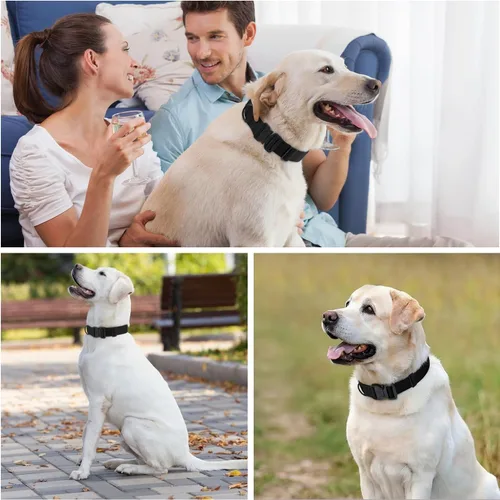 Miniatura 2 de Collar Táctico de Servicio Pesado para Perro Ajustable de Nailon para Mascotas Hebilla de Liberación Rápida con 2 Anillos en D con Parche para Negro