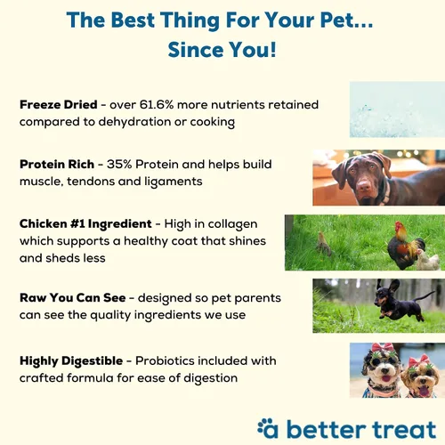 Miniatura 3 de A Better Dog Food Alimento seco para perros con pollo Crudo que puedes ver croqueta alta en proteínas + alimento crudo liofilizado para perros