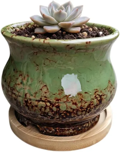 Miniatura 56 de Bonita maceta circular de cerámica para decoración del hogar y jardín, suculentas, cactus, maceta no incluida (azul, 3.19 pulgadas)