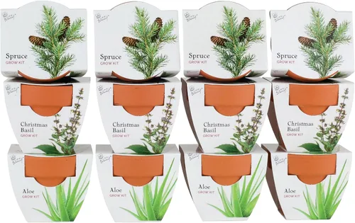 BUZZY Seeds Radiant Collection - Paquete de 12 – Kit de iniciación de semillas de terracota todo en uno para hierbas, suculentas y árboles, incluye