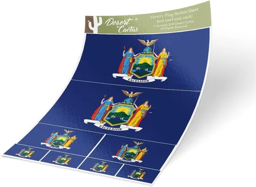 Desert Cactus Calcomanía de la bandera del estado de Nueva York, paquete de 8 unidades en total con logotipo para niños, álbum de recortes,