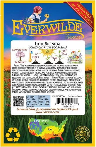 Miniatura 2 de Everwilde Farms - 1000 semillas de hierba nativa Little Bluestem - Paquete de semillas jumbo Gold Vault
