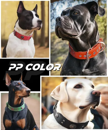 Miniatura 6 de Collar de cuero para perro, 2 pulgadas de ancho, collares de cuero genuino resistente, hecho a mano, suave y lujoso, la mejor opción llamativa