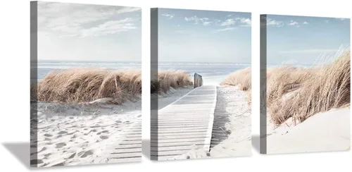 Hardy Gallery Arte de Lienzo de Pared de Playa Costera: Obra de Arte de Sendero a la Orilla Pintura sobre Lienzo para Oficina o Dormitorio (16'' x