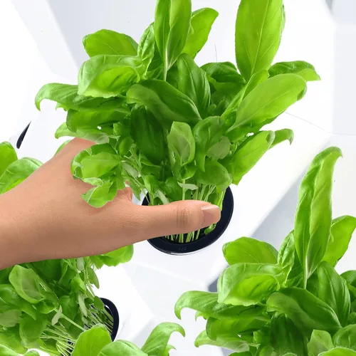 Miniatura 4 de Sistema de cultivo de torre hidropónica, equipo de torre aeropónica de cultivo vertical para hierbas, frutas y verduras de interior con adaptador
