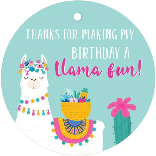 Miniatura 25 de Andaz Press Fiesta de cumpleaños de llama y cactus, banderín colgante personalizado con cuerda, cumpleaños número 16 de Emma, 5 pies, 1 juego