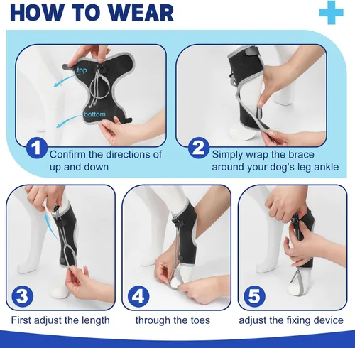 Miniatura 5 de Muñuelos para perros para hiperflexión de falanges causada por daño del nervio ciático y deformidad flexional carpiana - Correas de bloqueo dobles