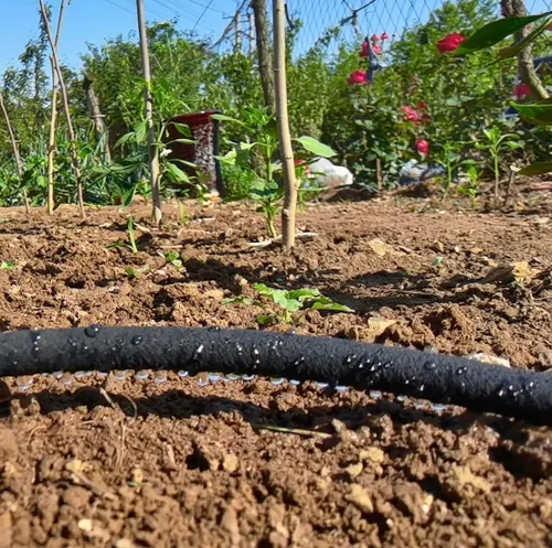 Miniatura 7 de Atlantic Short Soaker Hose 2ft x1/2" Garden Soaker Hose, Water Seeper Hoses for Foundation Watering, Garden Beds, Garden, Lawn and Plants.