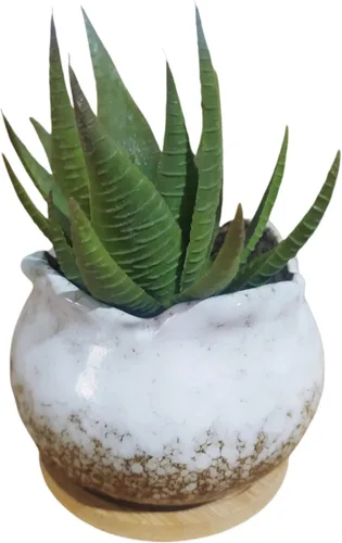 Miniatura 29 de Bonita maceta circular de cerámica para decoración del hogar y jardín, suculentas, cactus, maceta no incluida (azul, 3.19 pulgadas)