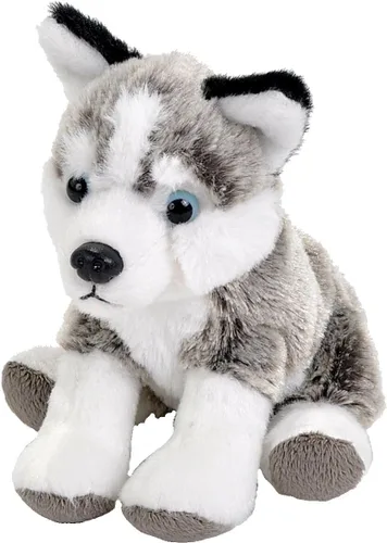 Wild Republic Pocketkins Eco Husky, animal de peluche, 5 pulgadas, hecho de materiales reciclados, respetuoso con el medio ambiente