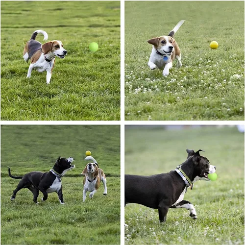 Miniatura 5 de Youngever Juguetes de cuerda para perros, juguetes masticables para cachorros, juguetes para perros medianos a grandes (paquete de 4)