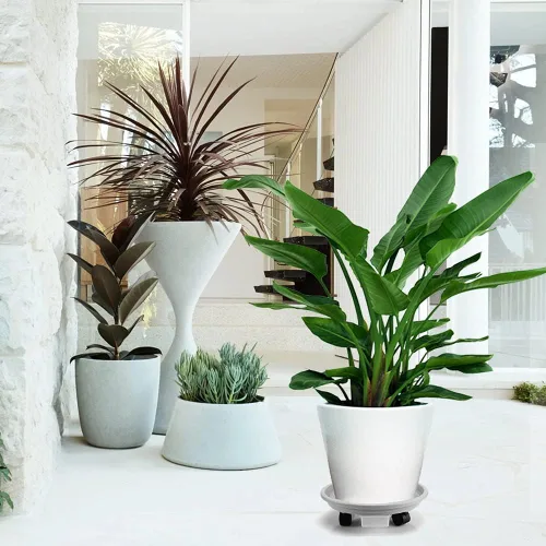Miniatura 7 de Looca Organizador de plantas con ruedas y bandeja de drenaje, soporte rodante para macetas de 13 pulgadas, organizador de macetas redondas