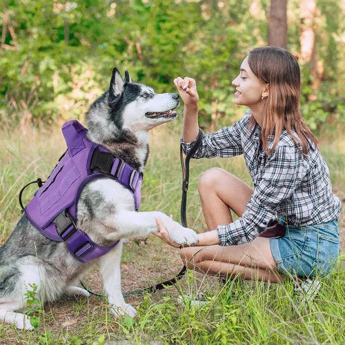 Miniatura 6 de WINGOIN - Arnés táctico púrpura para perros medianos, arnés resistente sin tirones con asa, chaleco militar K9 reflectante ajustable para mascotas
