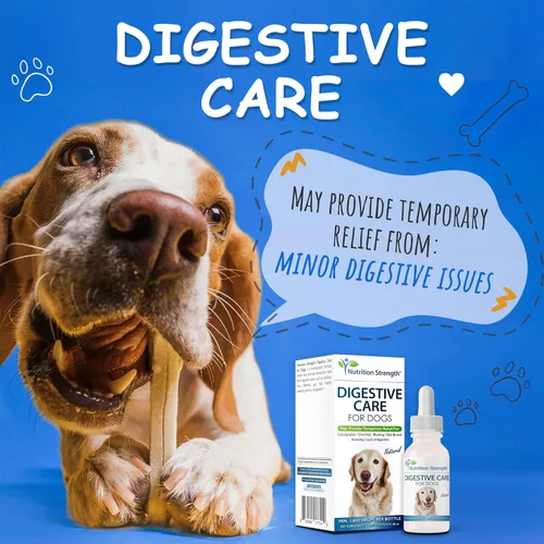 Miniatura 2 de Cuidado digestivo para perros, alivio natural del estreñimiento para perros y cachorros y apoyo para la diarrea, hinchazón, mal aliento, vómitos