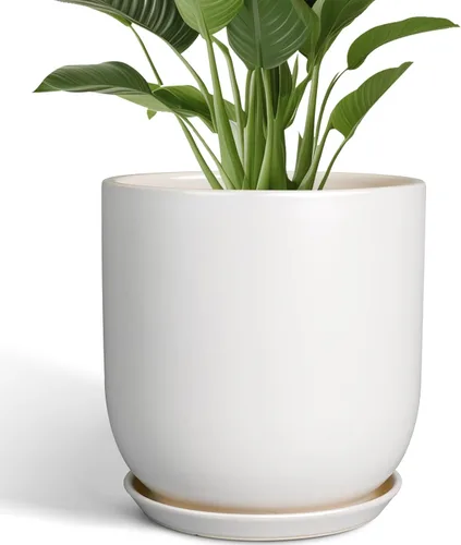 Miniatura 21 de Maceta de Cerámica para Plantas de Interior de 5 Pulgadas - Maceta Redonda para Plantas Suculentas con Agujero de Drenaje y Platillo, Decoración