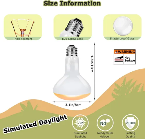 Miniatura 3 de Bombillas de lámpara de calor de reptiles de 60 W, luz de punto de calentamiento UVA de 2.5 pulgadas para dragón barbudo, lagarto, tortuga, pollitos