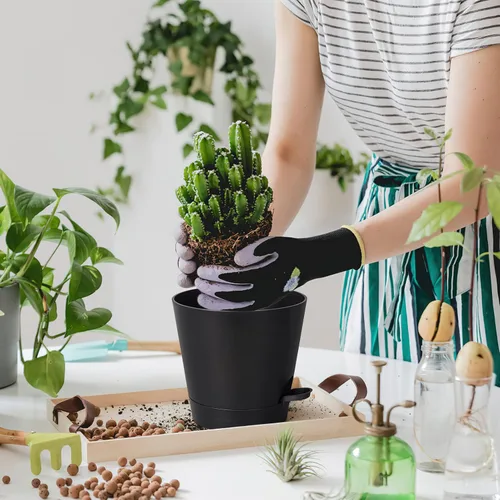Miniatura 7 de Macetas de riego automático de 8 pulgadas para interiores, paquete de 6 macetas de plástico con agujeros de drenaje, color negro