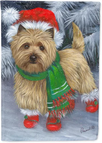 Miniatura 80 de Caroline's Treasures PPP3097CHF - Pijama de Navidad con diseño de bulldog francés para colgar en la pared, poliéster, tamaño de casa, multicolor