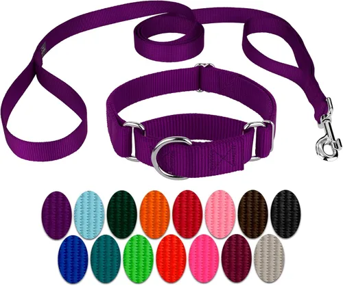 Miniatura 14 de Country Brook Petz - Collar para perro de nailon resistente Martingala azul hielo y correa de doble asa (1 pulgada, grande)