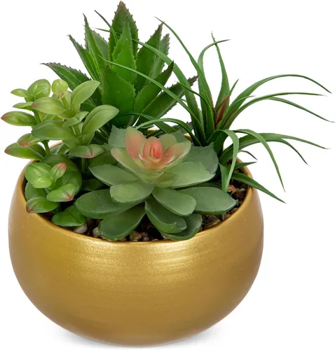 Miniatura 10 de Briful Pequeñas plantas falsas surtidas suculentas falsas en macetas, plantas suculentas realistas artificiales con macetas de cemento