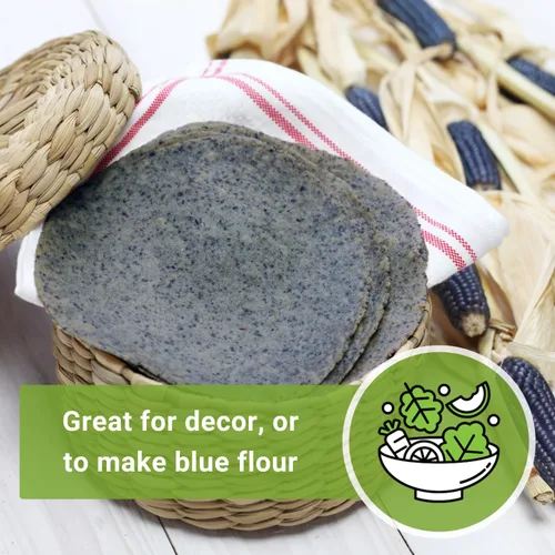Miniatura 5 de Sow Right Seeds - Semilla de Maíz Azul Hopi para plantar - Paquete de reliquia sin OMG con instrucciones para plantar y cultivar un jardín