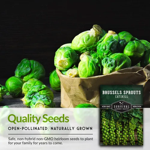 Miniatura 7 de Survival Garden Seeds - Semillas de coles de Bruselas Catskill para plantar - Paquete con instrucciones para plantar y cultivar sabrosas verduras