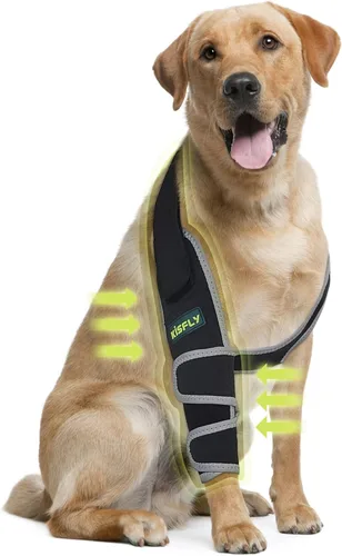 Miniatura 14 de Arnés para perros medianos, arnés de apoyo para la pierna trasera para asistencia de movilidad, ayuda a apoyar perros con problemas