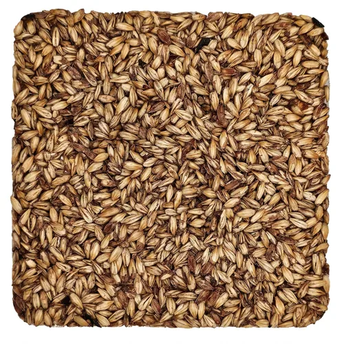 Briess 2-Row Black Malt 500L - 1 lb