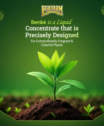 Miniatura 4 de FoxFarm Bushdoctor Bembé concentrado, fertilizante líquido de acción rápida para plantas, mejora los azúcares naturales para la dulzura y el sabor