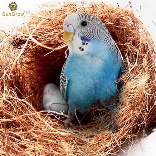 Miniatura 4 de SunGrow Fibra de coco de pinzón, sustrato de cama suelto para jaulas de nido de pájaros, material de anidación para periquito canario de colibrí