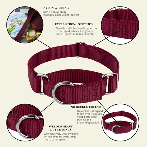 Miniatura 8 de Country Brook Petz - Collar Martingale para perro - Collar de entrenamiento resistente sin hebilla - Collar para perro de servicio para todos