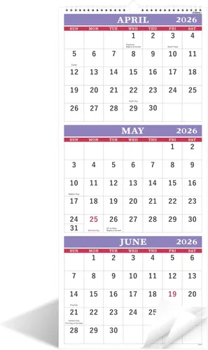 Miniatura 9 de Calendario de pared 2025 – Calendario de pared de 3 meses (plegado en un mes), enero de 2025 a diciembre de 2025, 11.25 x 26 pulgadas, calendario