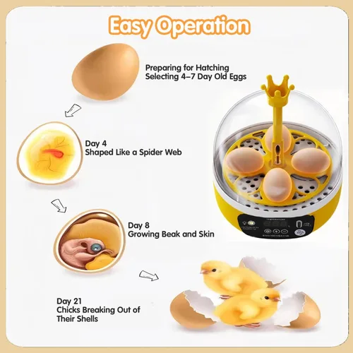 Miniatura 4 de Tissting Mini incubadora de 4 huevos con tapa transparente, control automático de humedad de temperatura de 7 W, máquina de incubación de aves