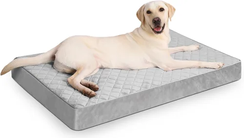 Miniatura 14 de NUPIDA Camas ortopédicas para perros pequeños, impermeables, con funda extraíble lavable y parte inferior antideslizante, cama acolchada para perros