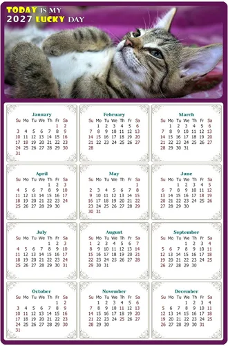 Calendario magnético 2024 – Imanes del calendario – Today is my Lucky Day – Resistente a la decoloración, desgarros y agua – Temática de gato 08