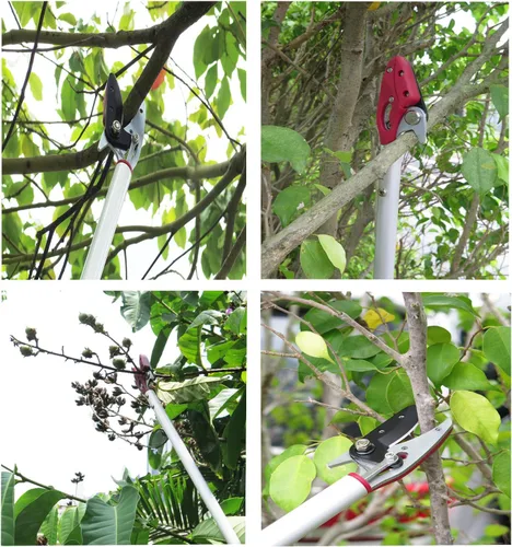 Miniatura 5 de Podadora de largo alcance de 2 pies y recolector de frutas con función de corte y sujeción, poste de aluminio ligero de 0.7 libras con cabezal