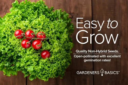 Miniatura 2 de Gardeners Basics, Semillas de lechuga romana para plantar, Parris Island Cos Heirloom, variedad vegetal sin OMG, 0.07 onzas de semillas ideales