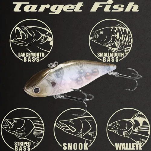 Miniatura 5 de Lucky Craft señuelo de pesca LV-500 cebo con forma de pez 238 Ghost Minnow
