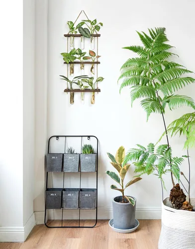Miniatura 4 de Mkono Tubos de propagación de plantas, terrario colgante de pared de 3 niveles con soporte de madera, florero de flores, tubo de ensayo, estaciones