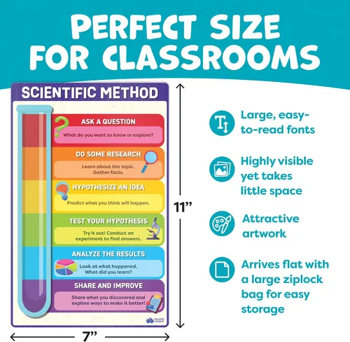 Miniatura 22 de Momo & Nashi Mapa de Estados Unidos para niños y mapas del mundo para niños, juego de 2 piezas – 24 x 16 pulgadas – Carteles impermeables para aula